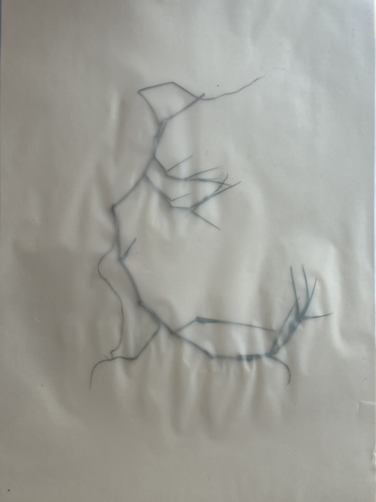 Disegno su carta velina